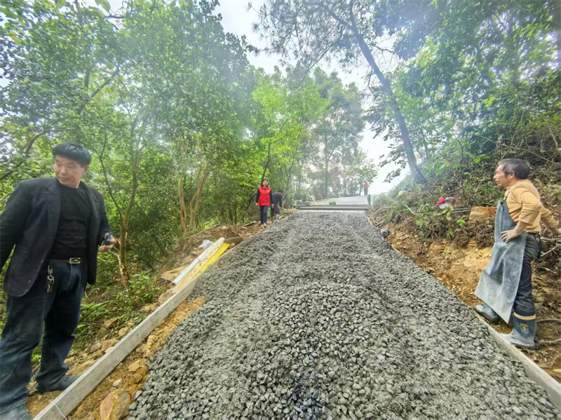 落潤鎮前進村產業路修建現場。徐昕供圖