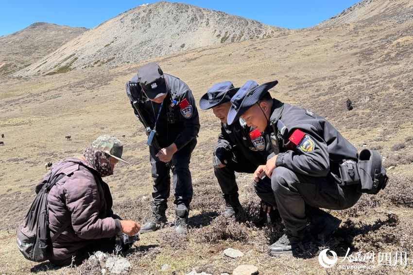 执勤民警发现虫草后呼叫老乡上山挖取，并送给他。苟欣雨摄