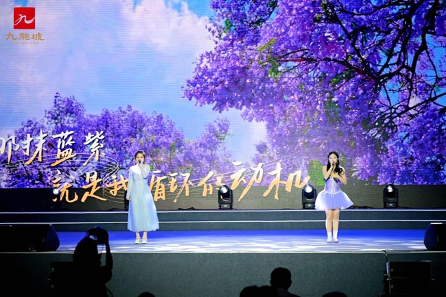 “成渝地·巴蜀情”第四届双城文化艺术周现场。活动方供图