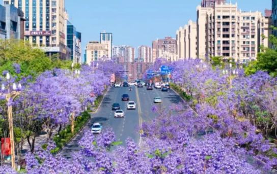 省廳蹲點服務助推攀枝花市國土空間規劃管理水平躍升