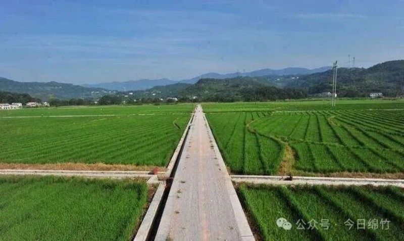 绵竹乡村一角。绵竹市融媒体中心供图