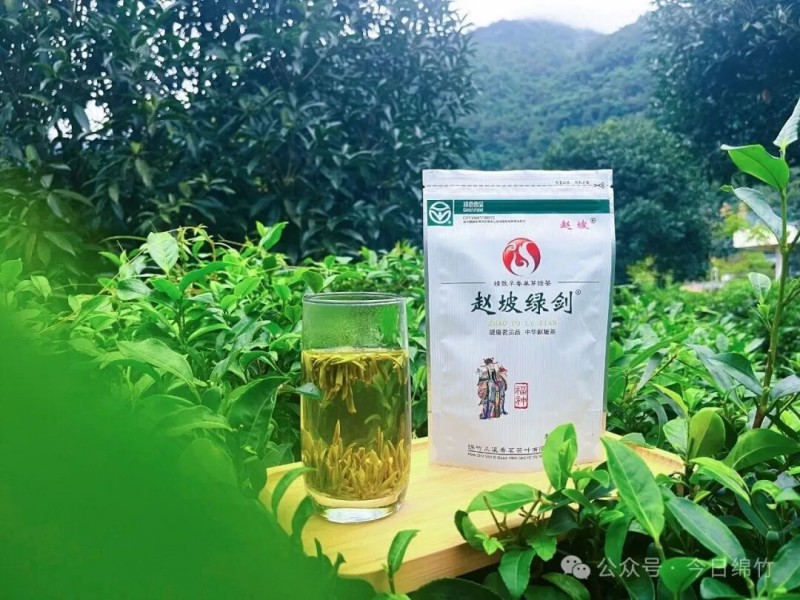 产于绵竹的高山茶。绵竹市融媒体中心供图