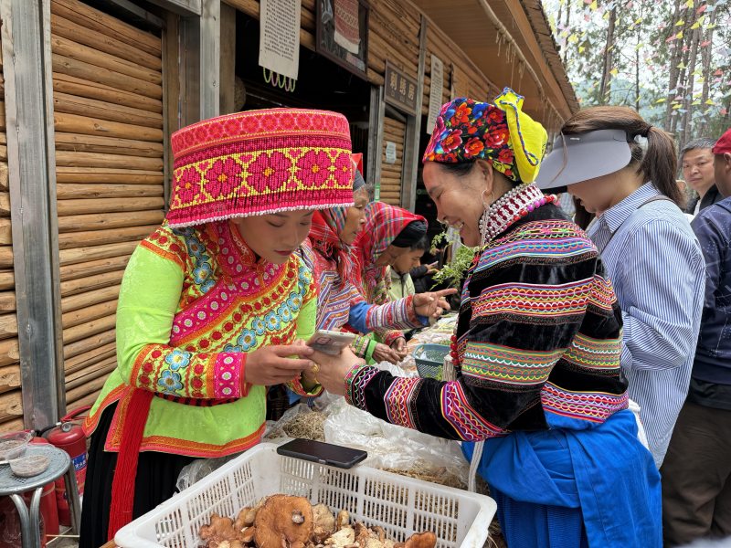 端午药市民俗文化活动现场。张宇涵摄