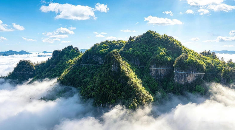 光雾山燕子岭环线栈道。