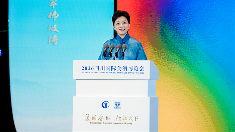 杨澜以《重新发现手作之美》为题发表演讲。主办方供图