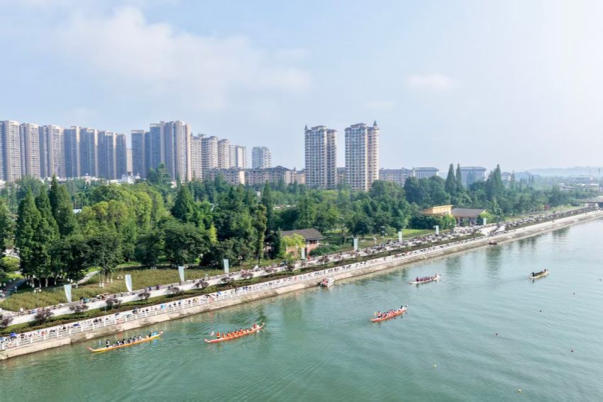 龙舟竞速现场。古良驹摄