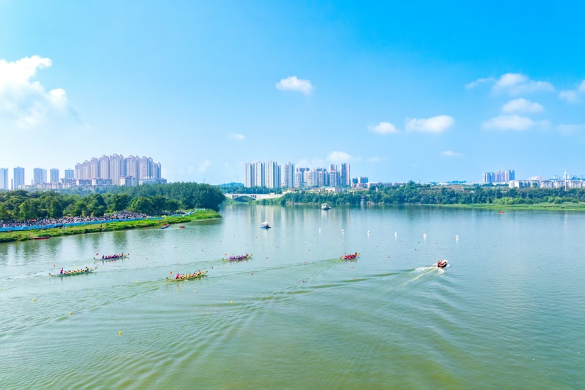 比赛现场。主办方供图