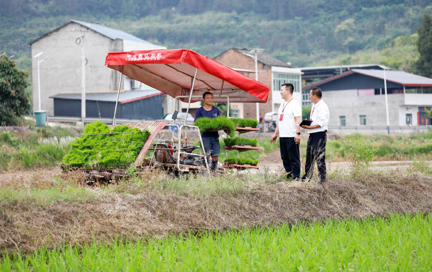 近日，顺庆区纪委监委工作人员深入田间地头向农机操作人员了解村集体农机使用情况。黎涛摄