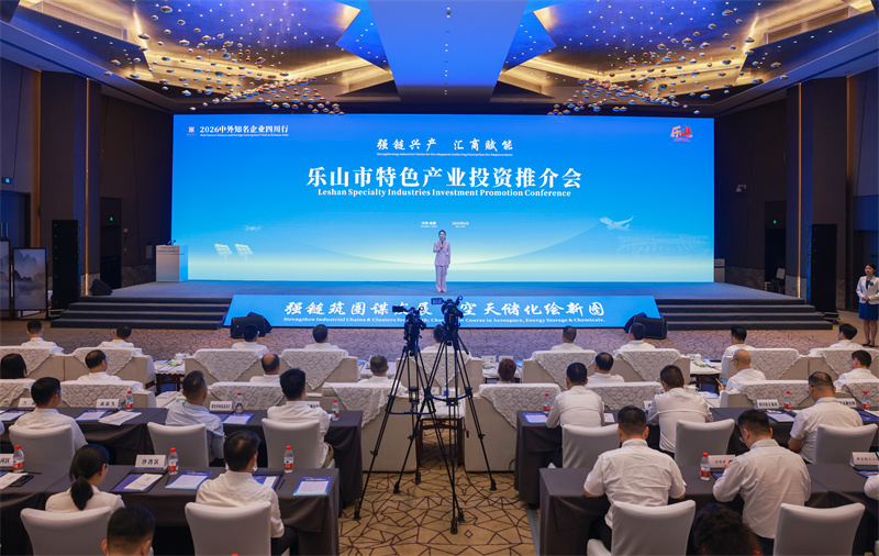 推介会现场。主办方供图
