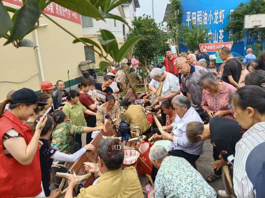 包粽子活动现场。胡涛摄