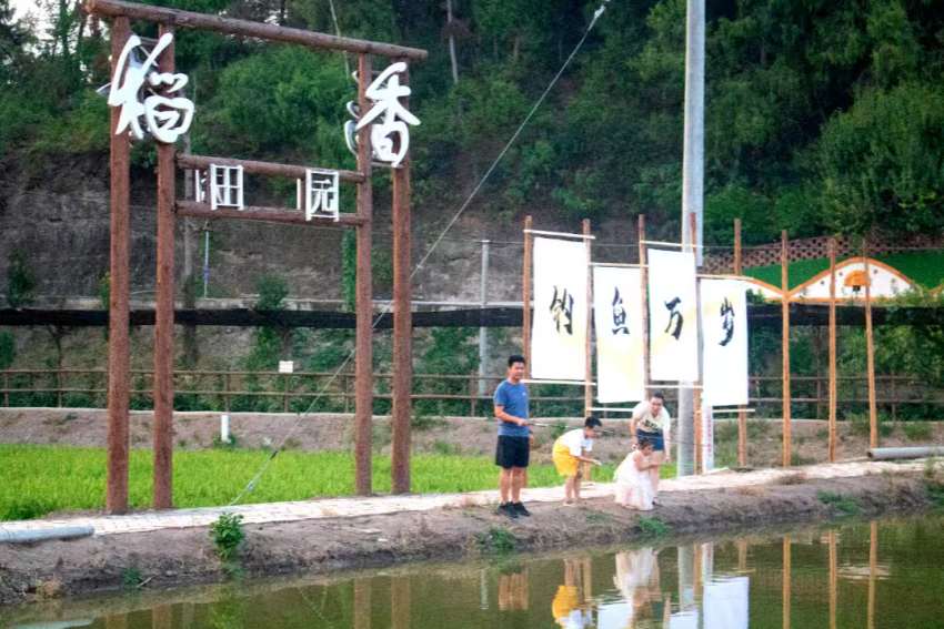 稻香田园。简阳市融媒体中心供图