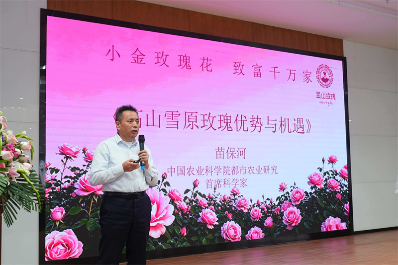 论坛现场。小金县融媒体中心供图