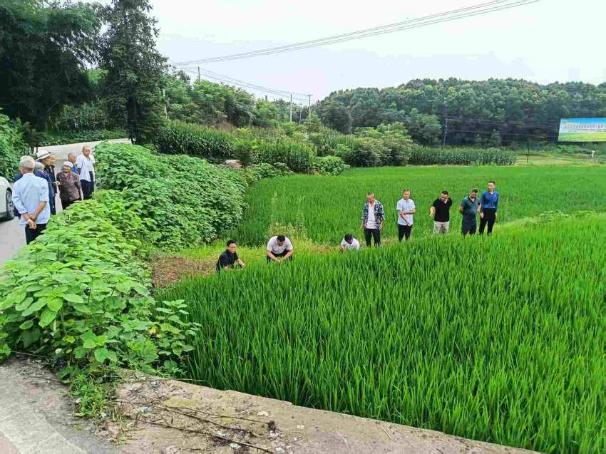 活動現場。曹芮銘攝