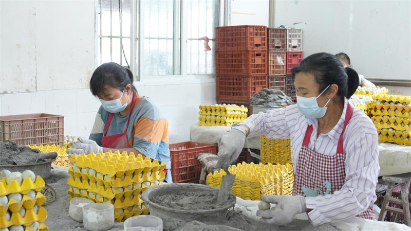 工人正在給鴨皮蛋裹灰。敘州區融媒體中心供圖