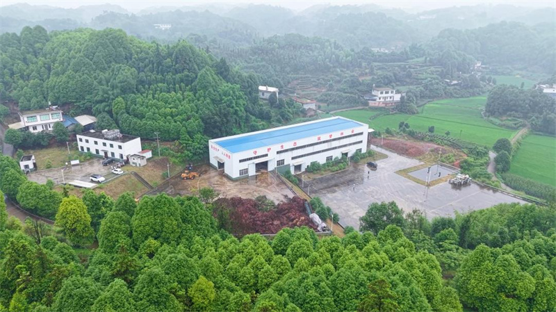 樟海鎮堰壩村的川林集團堰壩油樟粗油加工廠。敘州區融媒體中心供圖