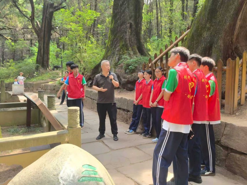 听工作人员讲解如何做好古柏保护。谢小平供图