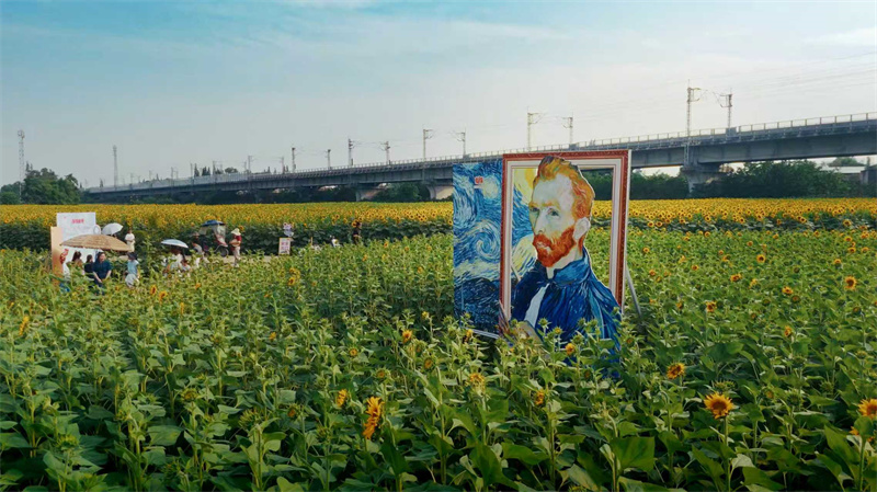 梵高元素融入花田造景。何小米供图