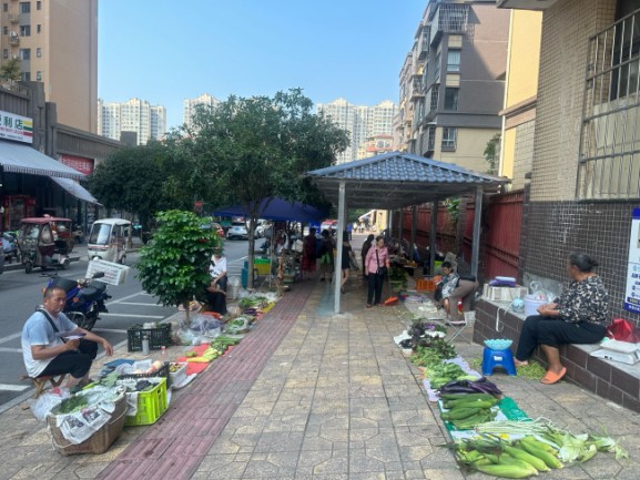 望家山整改后①。唐思琴供图