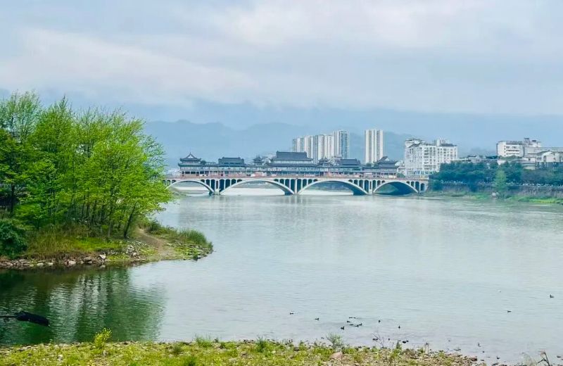 雅安青衣江岸。工行四川省分行供图