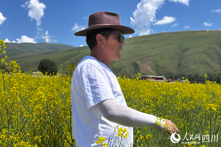 道孚县协德街村农业专业合作社带头人多吉次灯介绍油菜种植情况。人民网记者 朱虹摄