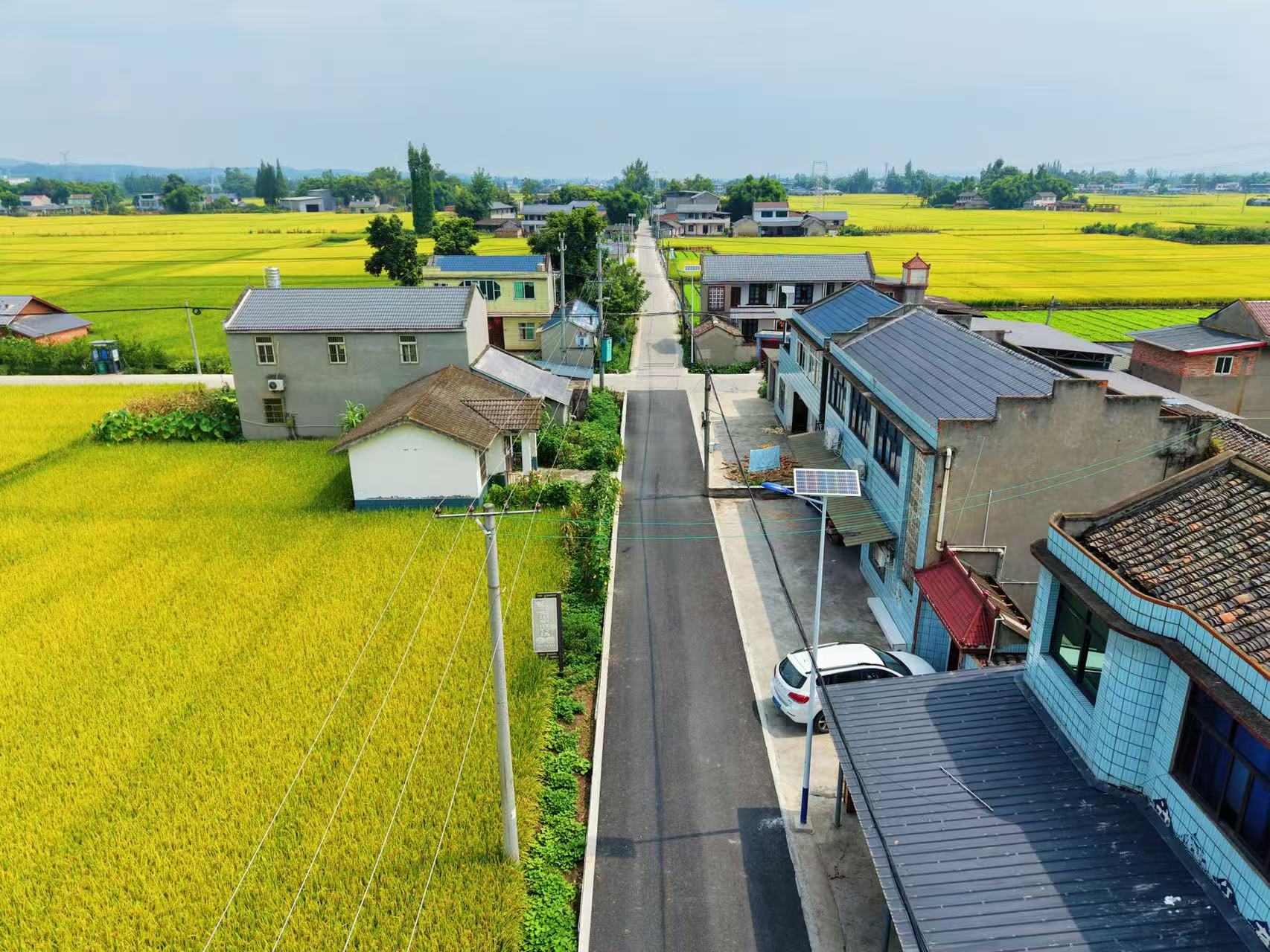 安装好的路灯。彭山区委宣传部供图
