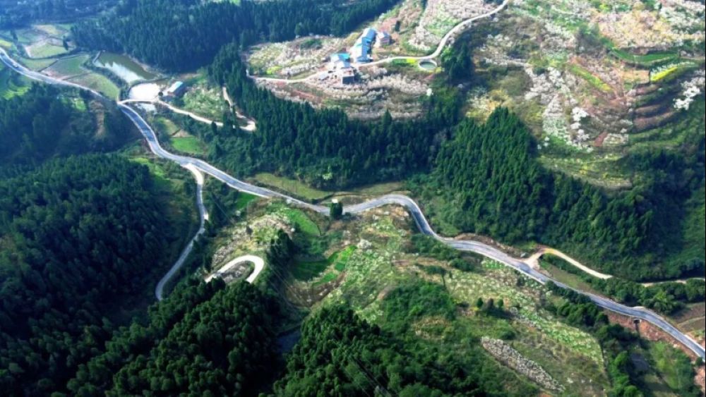 凤凰山乡村振兴示范路旅游环线。通川区委宣传部供图