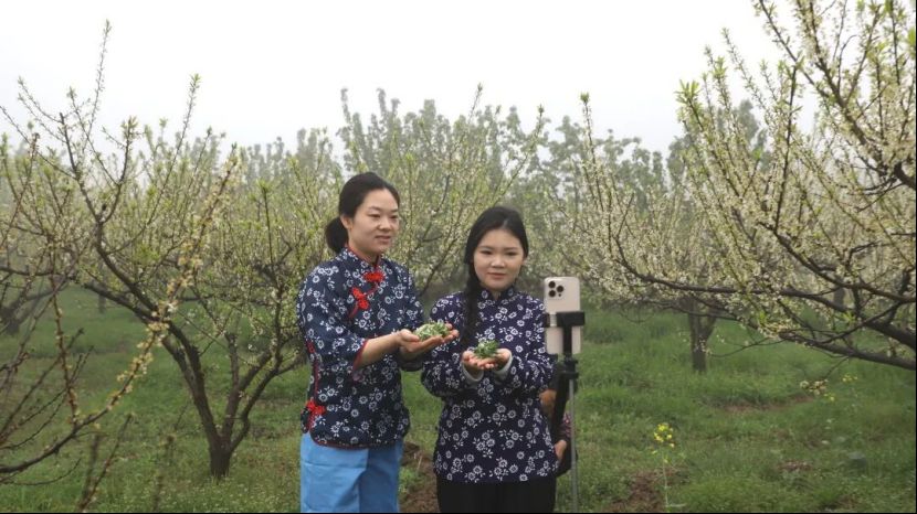 双鱼湖社区电商培训优秀学员在田间开展直播活动。通川区委宣传部供图