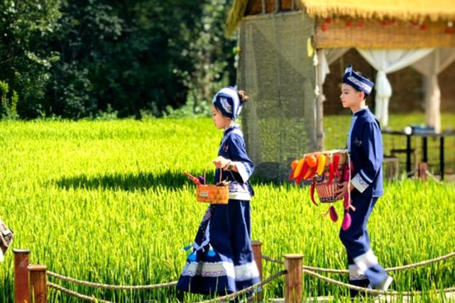 会东姜州稻田火把节激活乡村文旅新动能
