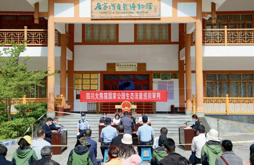 四川大熊猫国家公园生态法庭在唐家河自然博物馆开展巡回审判。四川省高级人民法院供图
