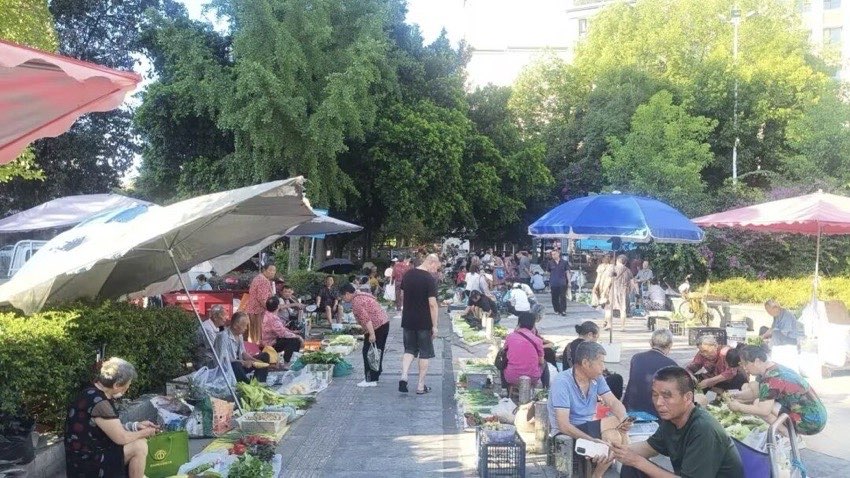 潮汐市場。王小光攝