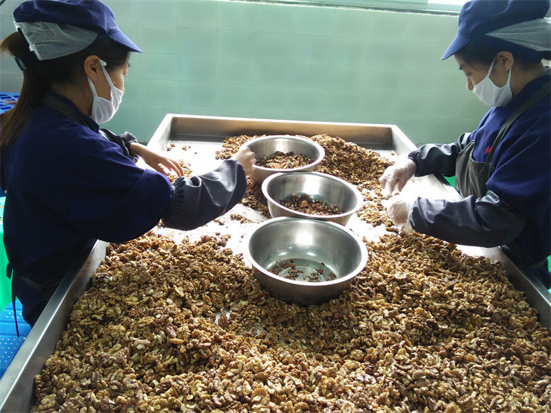 工人挑選精品核桃仁做月餅餡。朝天區融媒體中心供圖