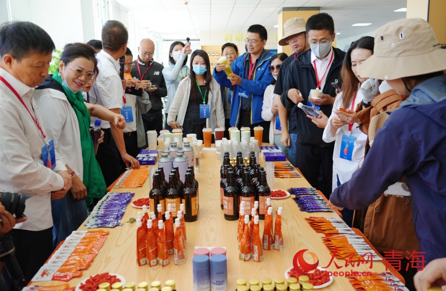 与会嘉宾了解枸杞产品研发情况。人民网记者 杨启红摄