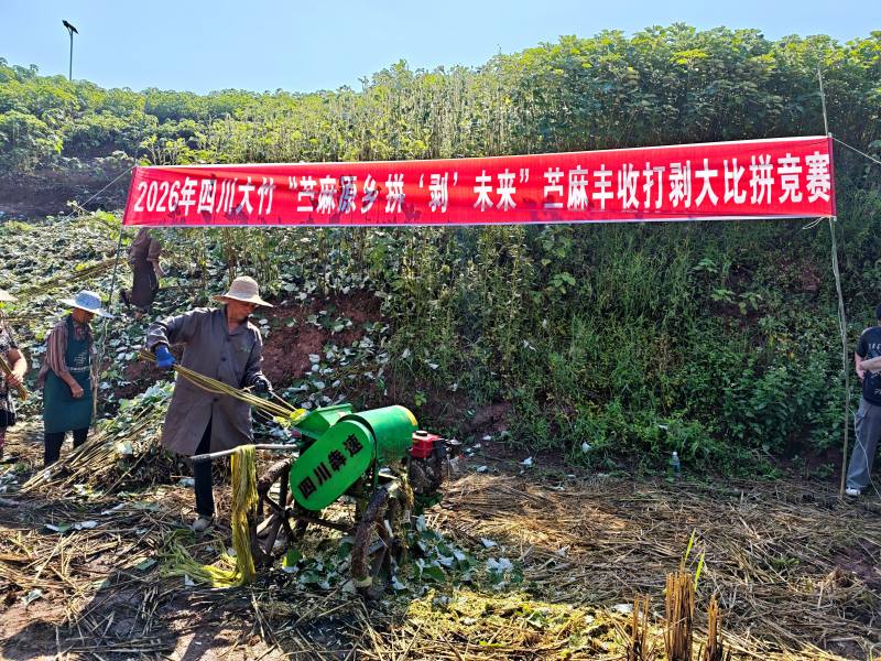 活动现场。大竹县委宣传部供图