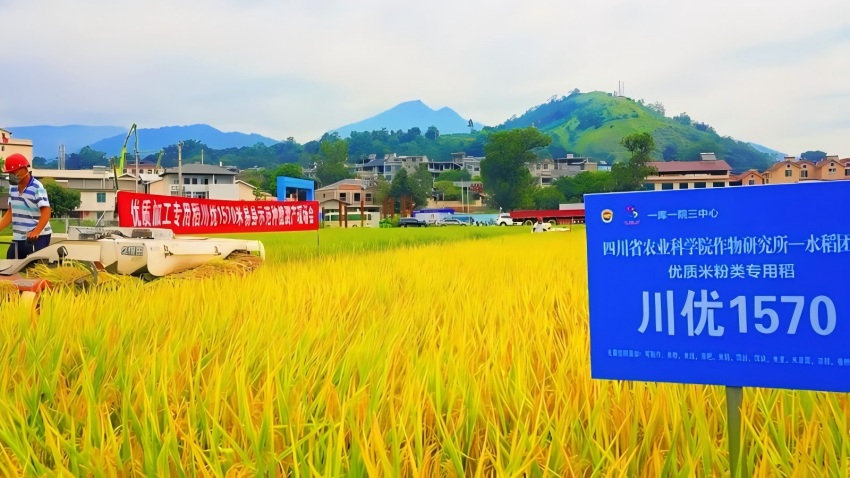测产现场。杨岚供图