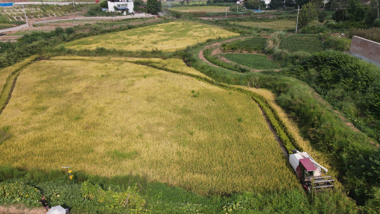 IMG_256
