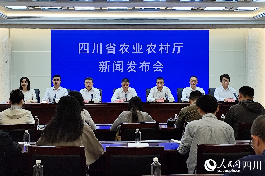 新闻发布会现场。人民网记者 朱虹摄