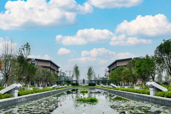 四川中醫藥職業學院校內一景。四川中醫藥職業學院供圖