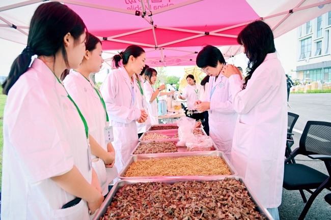 中藥材展示。經楷攝