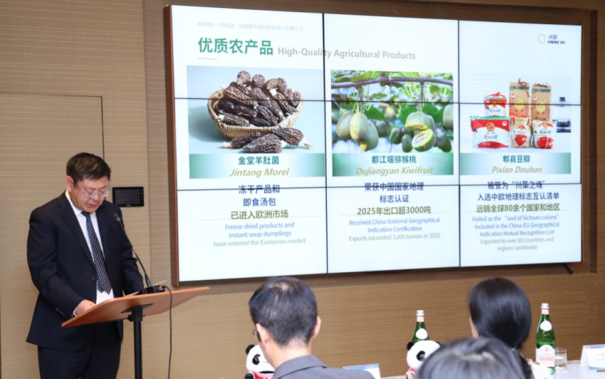 推介会现场。主办方供图