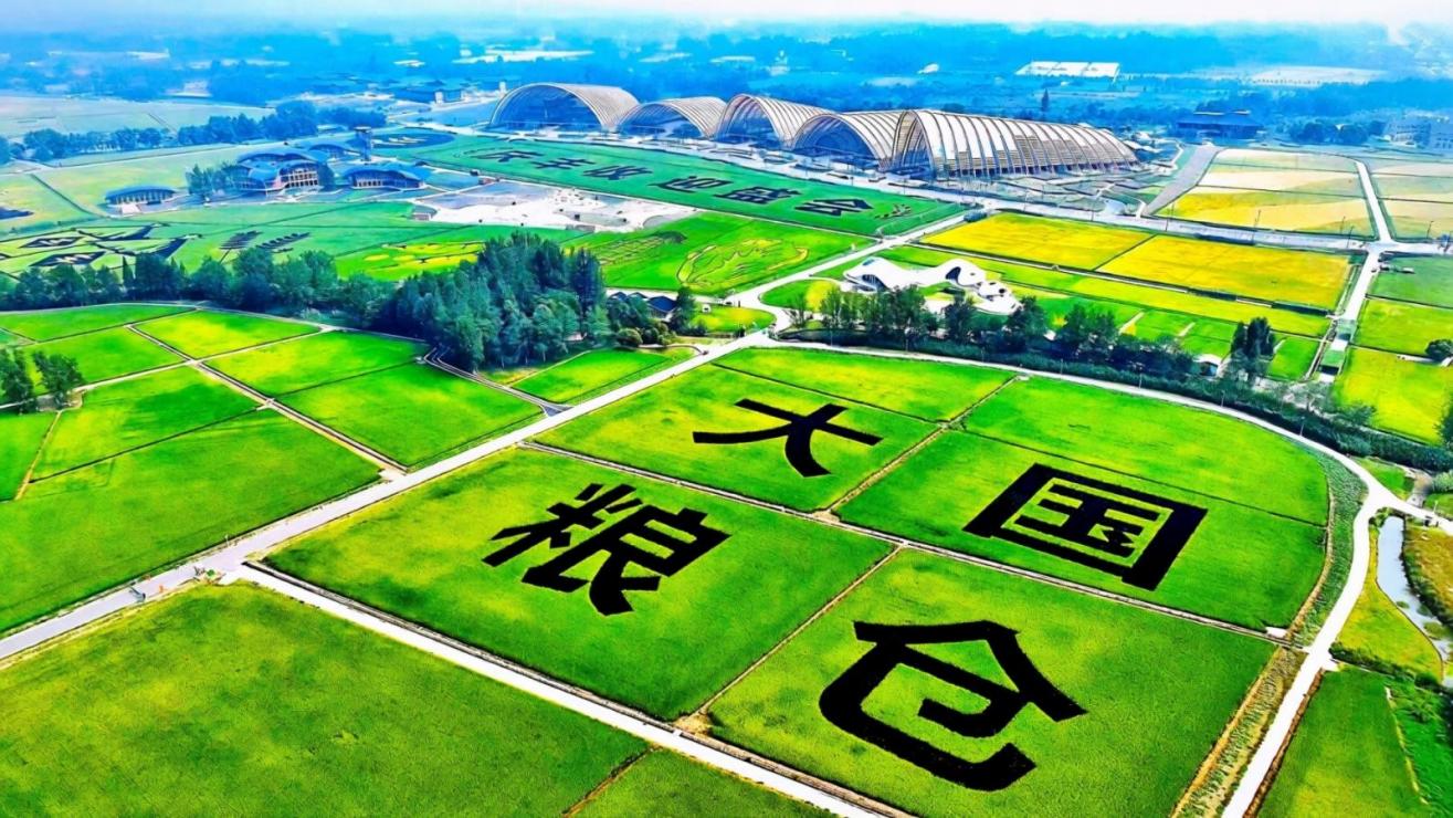 四川成都新津天府农博园试验田。工行成都分行供图
