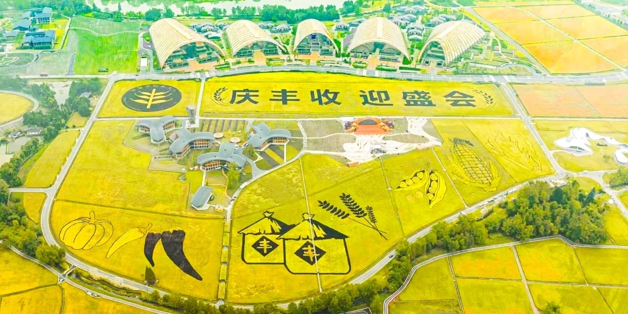 四川成都市新津区天府农博园一片丰收盛景。工行成都分行供图
