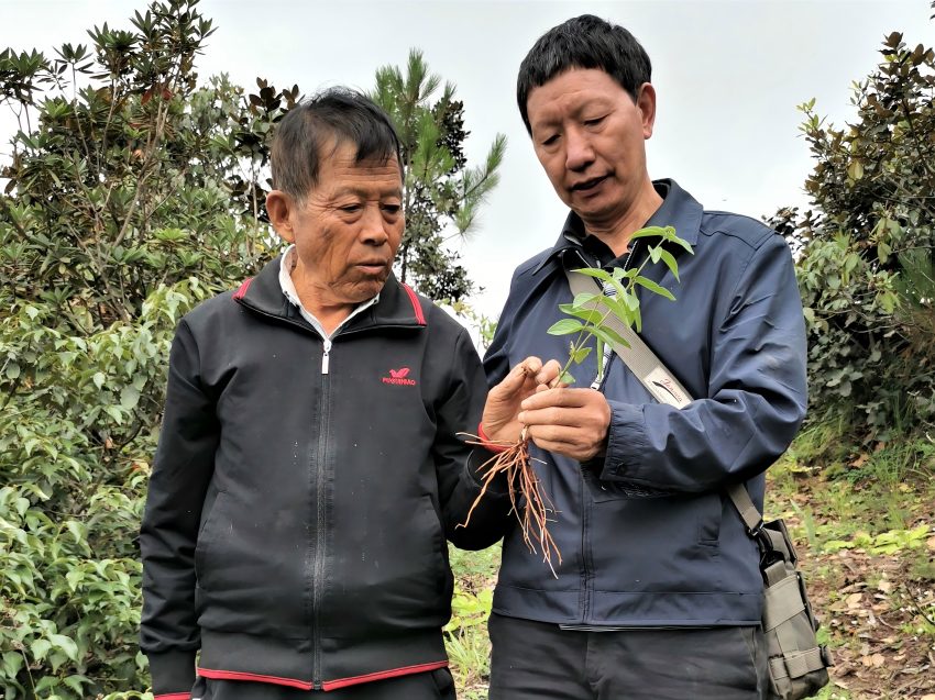 与群众交流草药。受访者供图