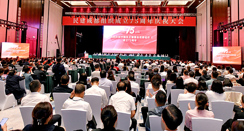 庆祝大会现场。活动主办方供图