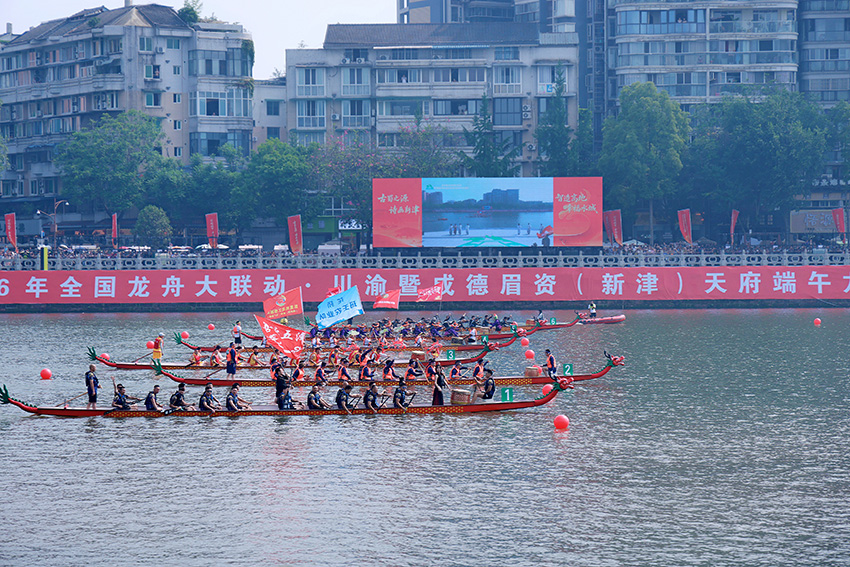 2026年天府端午龙舟会。新津区委宣传部供图