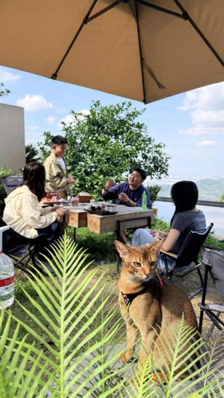 和家人一起聊天。四川天府新區融媒體中心供圖