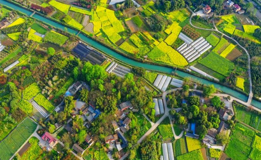 唐昌鎮徐堰河畔。郫都區總河長辦供圖