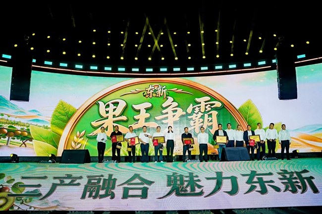 瀘州古藺縣第五屆獼猴桃豐收季系列活動果王爭霸賽。活動方供圖