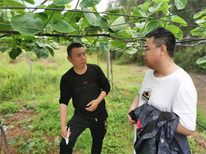 廣元市農科院科研人員深入園區指導。廣元市農科院供圖