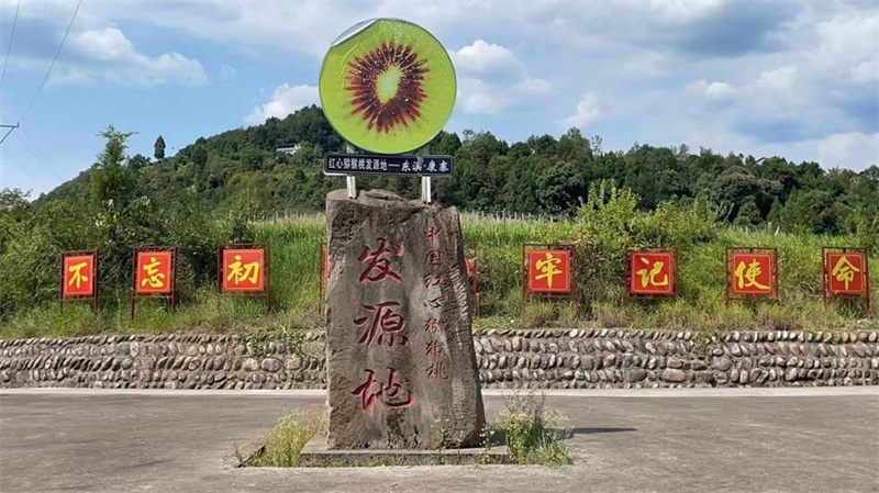 中國紅心獼猴桃發源地。張百順供圖