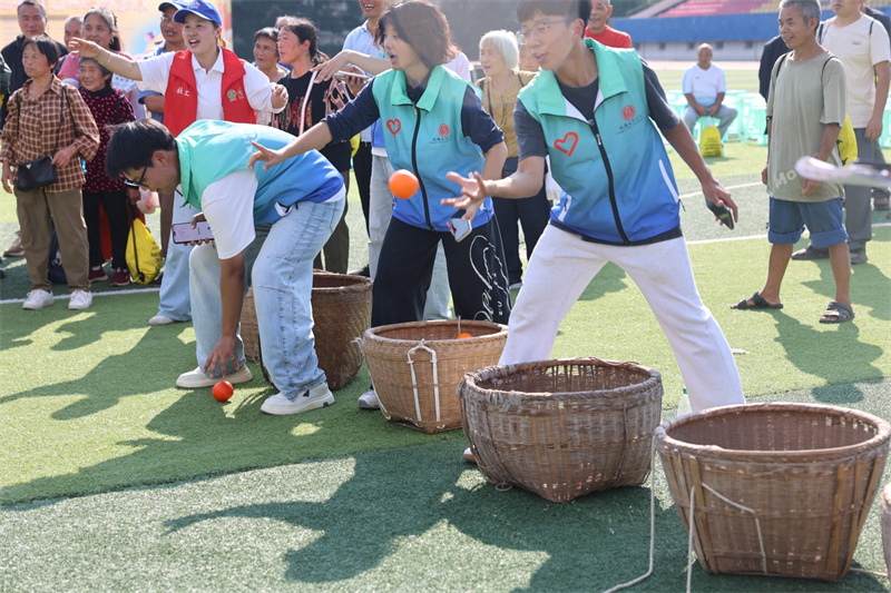 活動現場。主辦方供圖